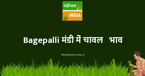 rice भाव